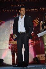 Salman Khan at Bharat N Dorris makeup awards in Mumbai on 29th April 2013 (131).JPG